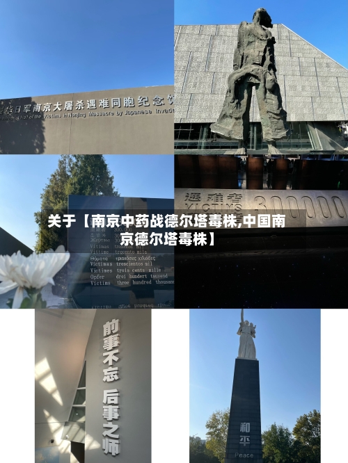 关于【南京中药战德尔塔毒株,中国南京德尔塔毒株】-第3张图片