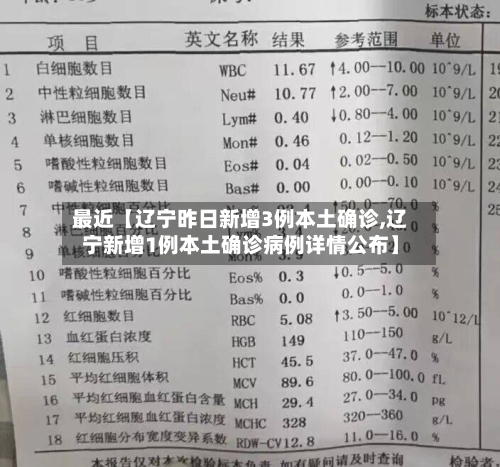 最近【辽宁昨日新增3例本土确诊,辽宁新增1例本土确诊病例详情公布】-第2张图片