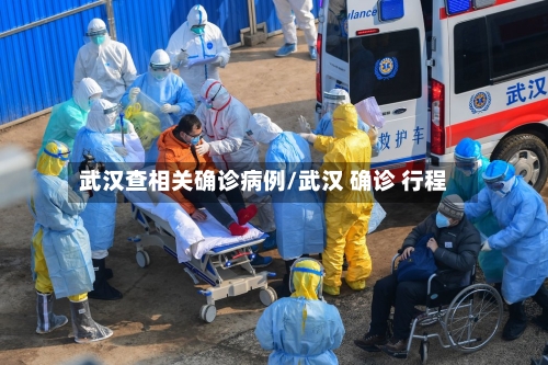 武汉查相关确诊病例/武汉 确诊 行程-第2张图片