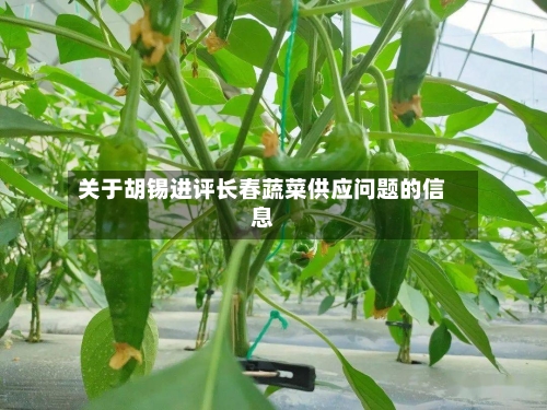 关于胡锡进评长春蔬菜供应问题的信息