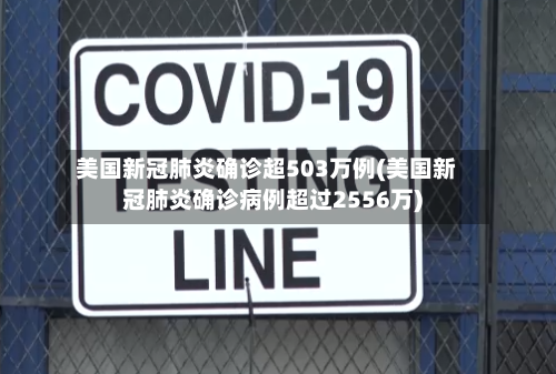 美国新冠肺炎确诊超503万例(美国新冠肺炎确诊病例超过2556万)-第2张图片