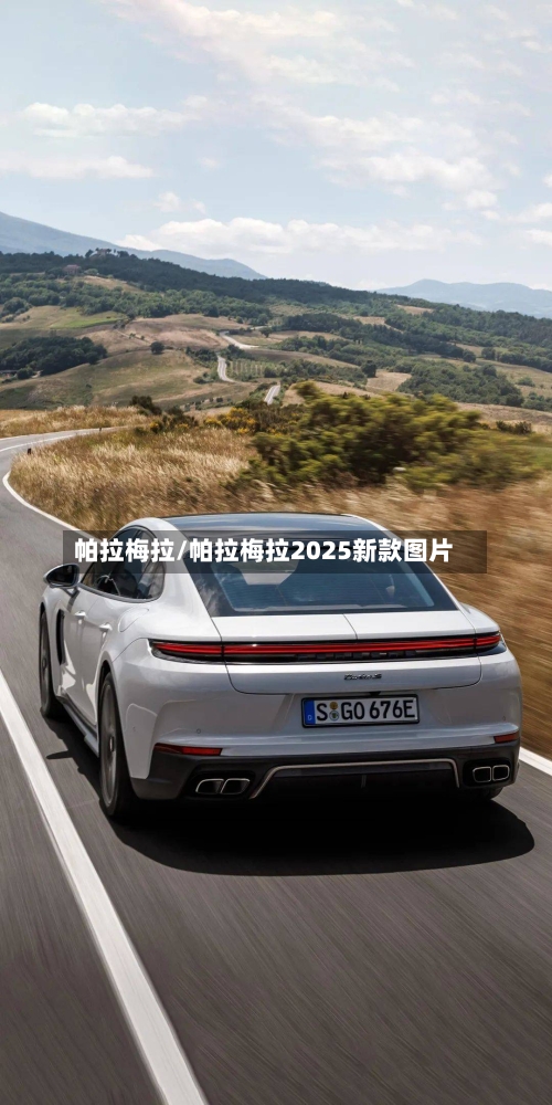 帕拉梅拉/帕拉梅拉2025新款图片