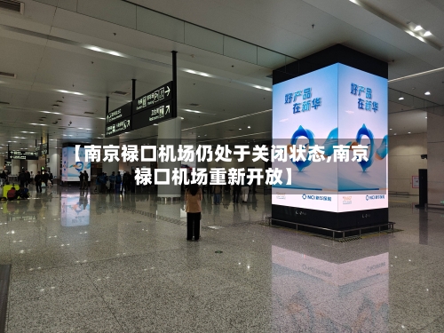 【南京禄口机场仍处于关闭状态,南京禄口机场重新开放】