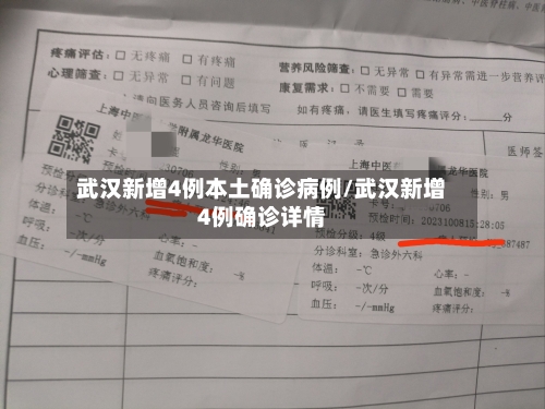 武汉新增4例本土确诊病例/武汉新增4例确诊详情