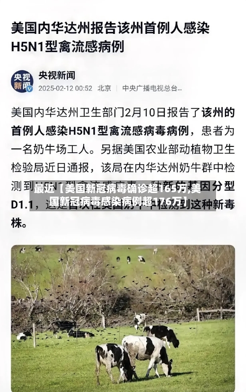 最近【美国新冠病毒确诊超165万,美国新冠病毒感染病例超176万】-第2张图片