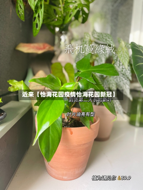 近来【怡海花园疫情怡海花园新冠】-第2张图片