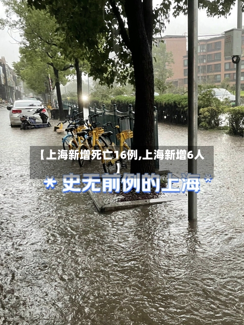 【上海新增死亡16例,上海新增6人】-第2张图片