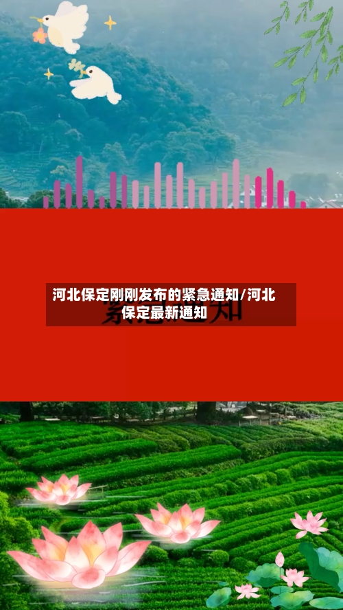 河北保定刚刚发布的紧急通知/河北保定最新通知-第2张图片