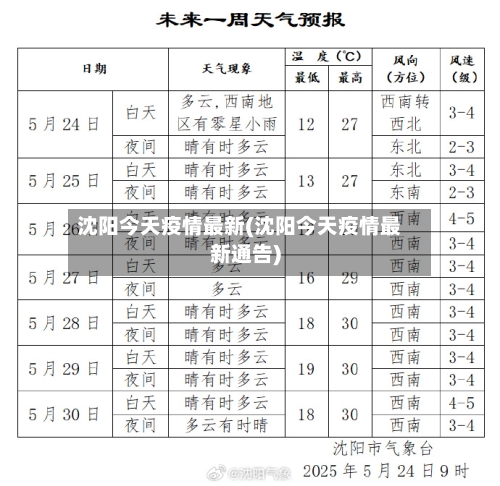 沈阳今天疫情最新(沈阳今天疫情最新通告)-第2张图片