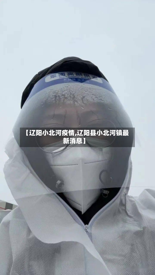【辽阳小北河疫情,辽阳县小北河镇最新消息】-第2张图片