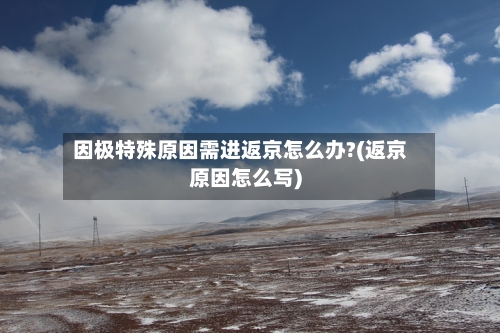 因极特殊原因需进返京怎么办?(返京原因怎么写)-第3张图片