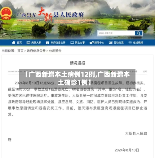 【广西新增本土病例12例,广西新增本土确诊1例】-第3张图片
