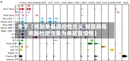 关于【核酸单基因阳性含义,新冠病毒核酸检测结果为单基因阳性】-第2张图片