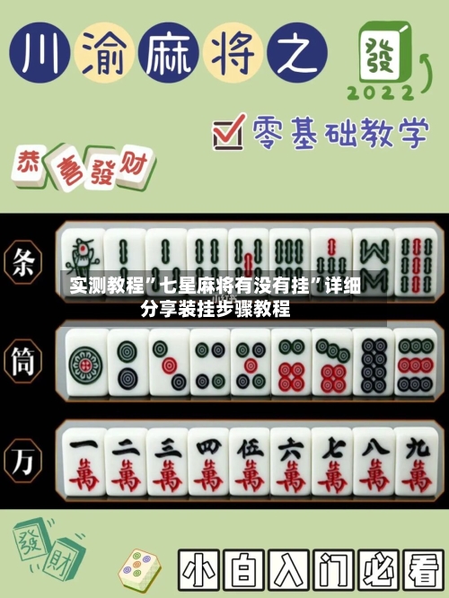 实测教程”七星麻将有没有挂	”详细分享装挂步骤教程-第2张图片