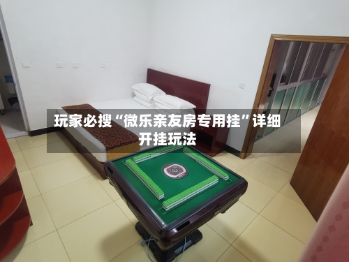 玩家必搜“微乐亲友房专用挂”详细开挂玩法-第2张图片