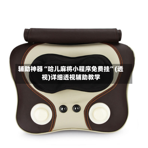 辅助神器“哈儿麻将小程序免费挂”(透视)详细透视辅助教学-第3张图片