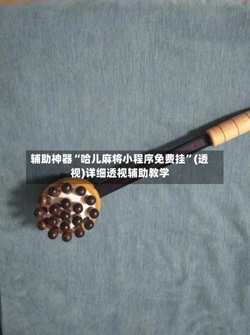 辅助神器“哈儿麻将小程序免费挂”(透视)详细透视辅助教学-第2张图片