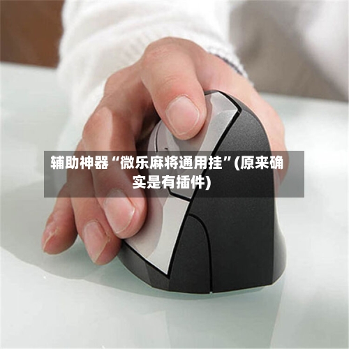 辅助神器“微乐麻将通用挂”(原来确实是有插件)