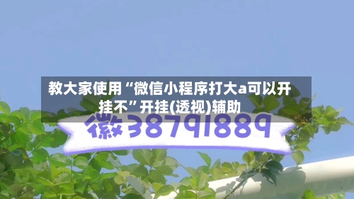 教大家使用“微信小程序打大a可以开挂不”开挂(透视)辅助-第3张图片