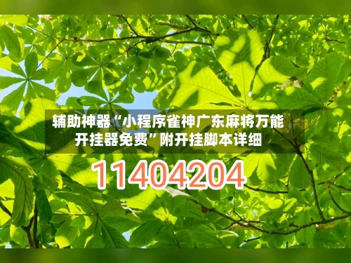 辅助神器“小程序雀神广东麻将万能开挂器免费	”附开挂脚本详细-第2张图片