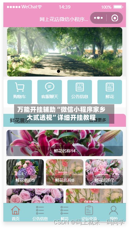 万能开挂辅助“微信小程序家乡大贰透视”详细开挂教程-第3张图片
