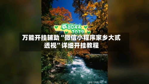 万能开挂辅助“微信小程序家乡大贰透视”详细开挂教程-第2张图片