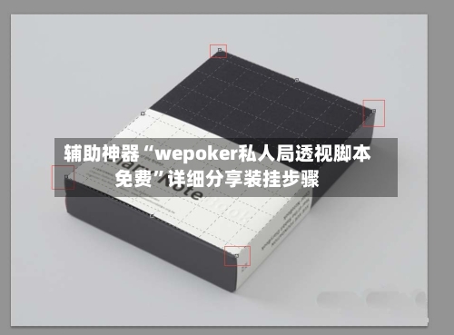 辅助神器“wepoker私人局透视脚本免费	”详细分享装挂步骤-第2张图片