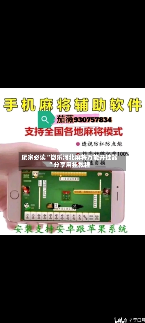 玩家必读“微乐河北麻将万能开挂器”分享用挂教程-第3张图片