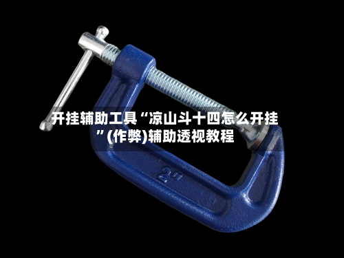 开挂辅助工具“凉山斗十四怎么开挂”(作弊)辅助透视教程