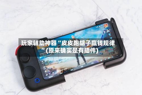 玩家辅助神器“皮皮跑胡子赢钱规律”(原来确实是有插件)-第2张图片