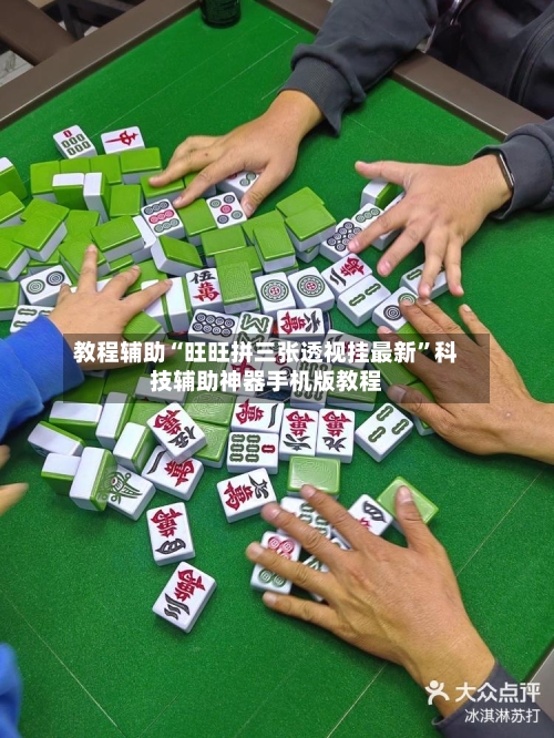 教程辅助“旺旺拼三张透视挂最新”科技辅助神器手机版教程-第2张图片