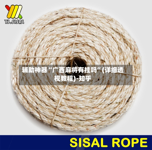 辅助神器“广西麻将有挂吗	”(详细透视教程)-知乎-第2张图片