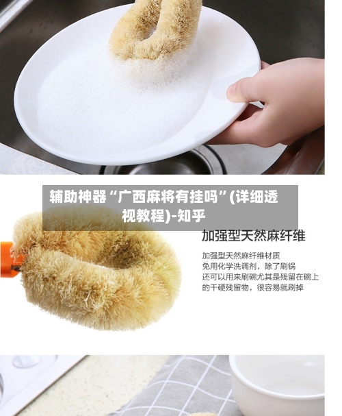 辅助神器“广西麻将有挂吗”(详细透视教程)-知乎-第3张图片