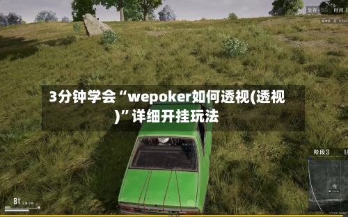 3分钟学会“wepoker如何透视(透视)	”详细开挂玩法-第2张图片