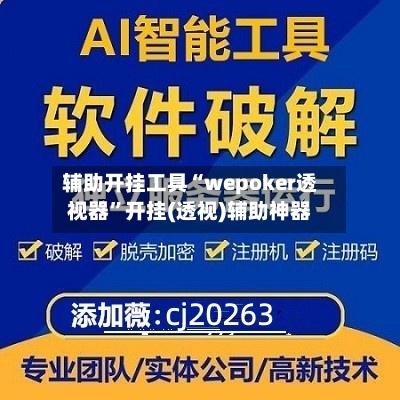 辅助开挂工具“wepoker透视器”开挂(透视)辅助神器-第2张图片