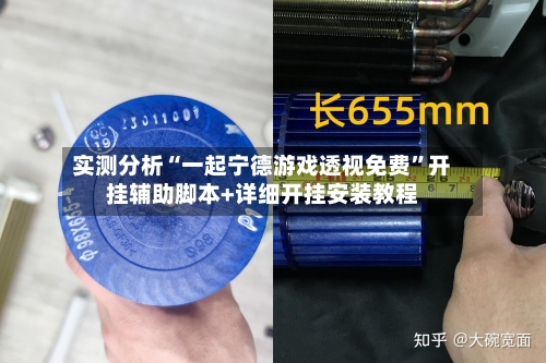 实测分析“一起宁德游戏透视免费”开挂辅助脚本+详细开挂安装教程